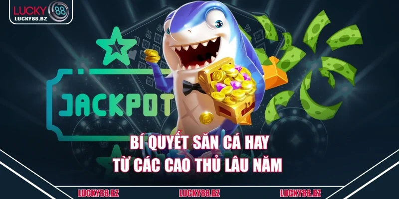 Bí quyết săn cá hay từ các cao thủ lâu năm 