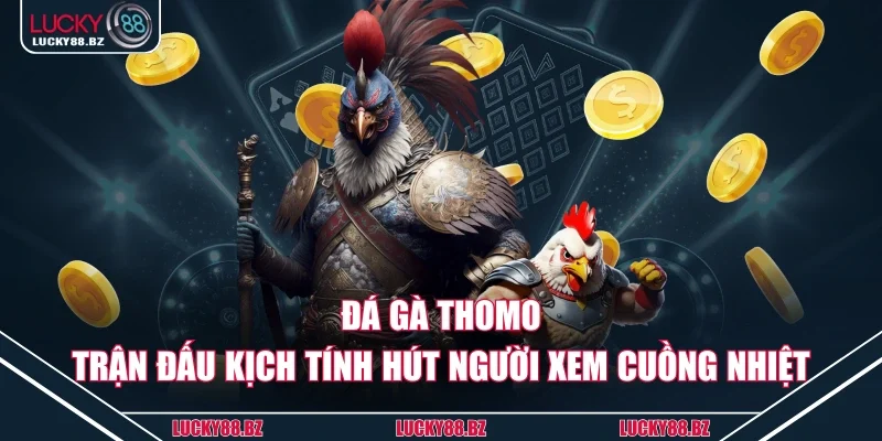 Đá gà thomo
