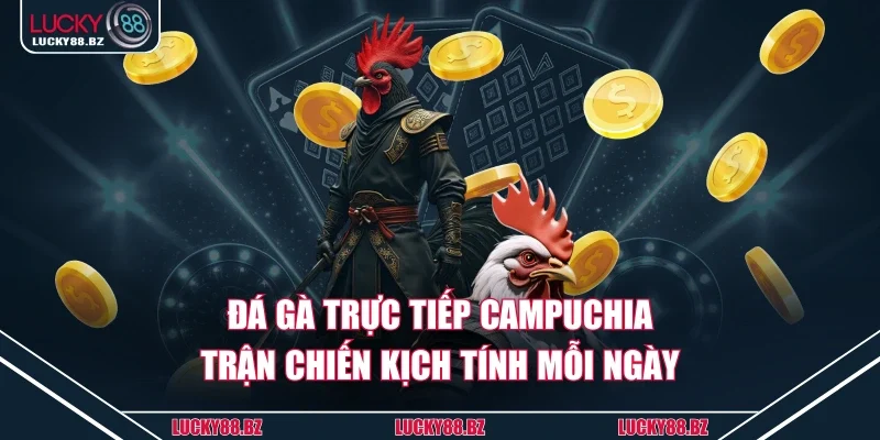 Đá gà trực tiếp Campuchia