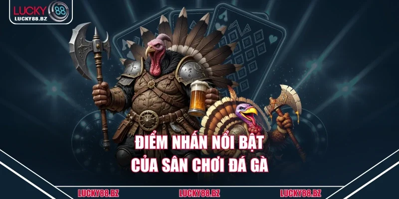 Điểm nhấn nổi bật của sân chơi đá gà