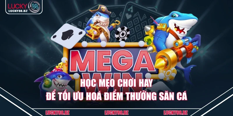 Học mẹo chơi hay để tối ưu hoá điểm thưởng săn cá