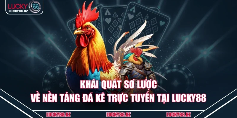 Khái quát sơ lược về nền tảng đá kê trực tuyến tại Lucky88