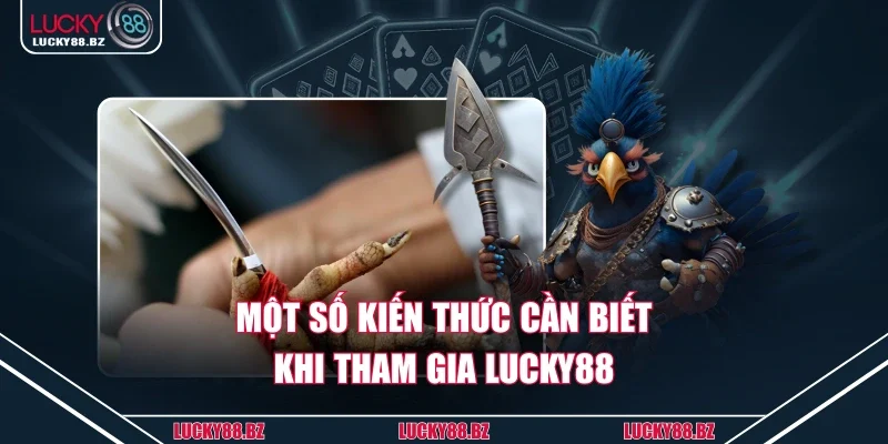 Một số kiến thức cần biết khi tham gia Lucky88