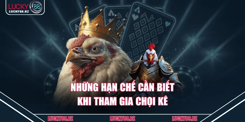 Những hạn chế cần biết khi tham gia chọi kê