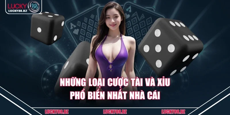 Những loại cược tài và xỉu phổ biến nhất nhà cái