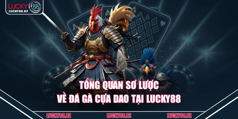 Tổng quan sơ lược về đá gà cựa dao tại Lucky88