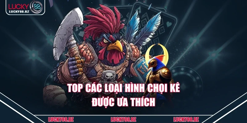 Top các loại hình chọi kê được ưa thích