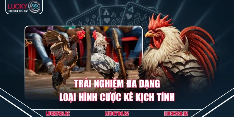 Trải nghiệm đa dạng loại hình cược kê kịch tính